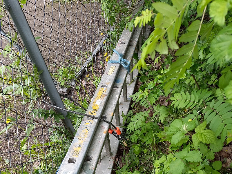 Stigen beregnet på utlån til medlemmer